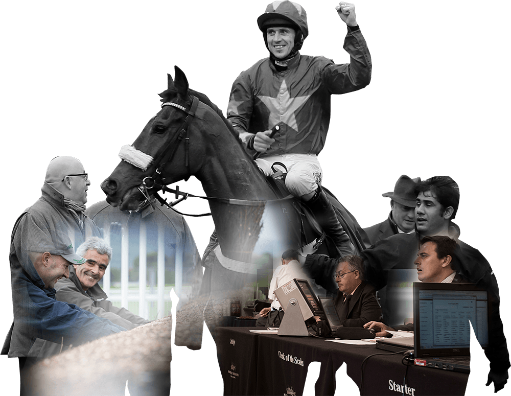 The British Horseracing Authority Building A Brighter - Horse Race Transparent (1000x775), Png Download