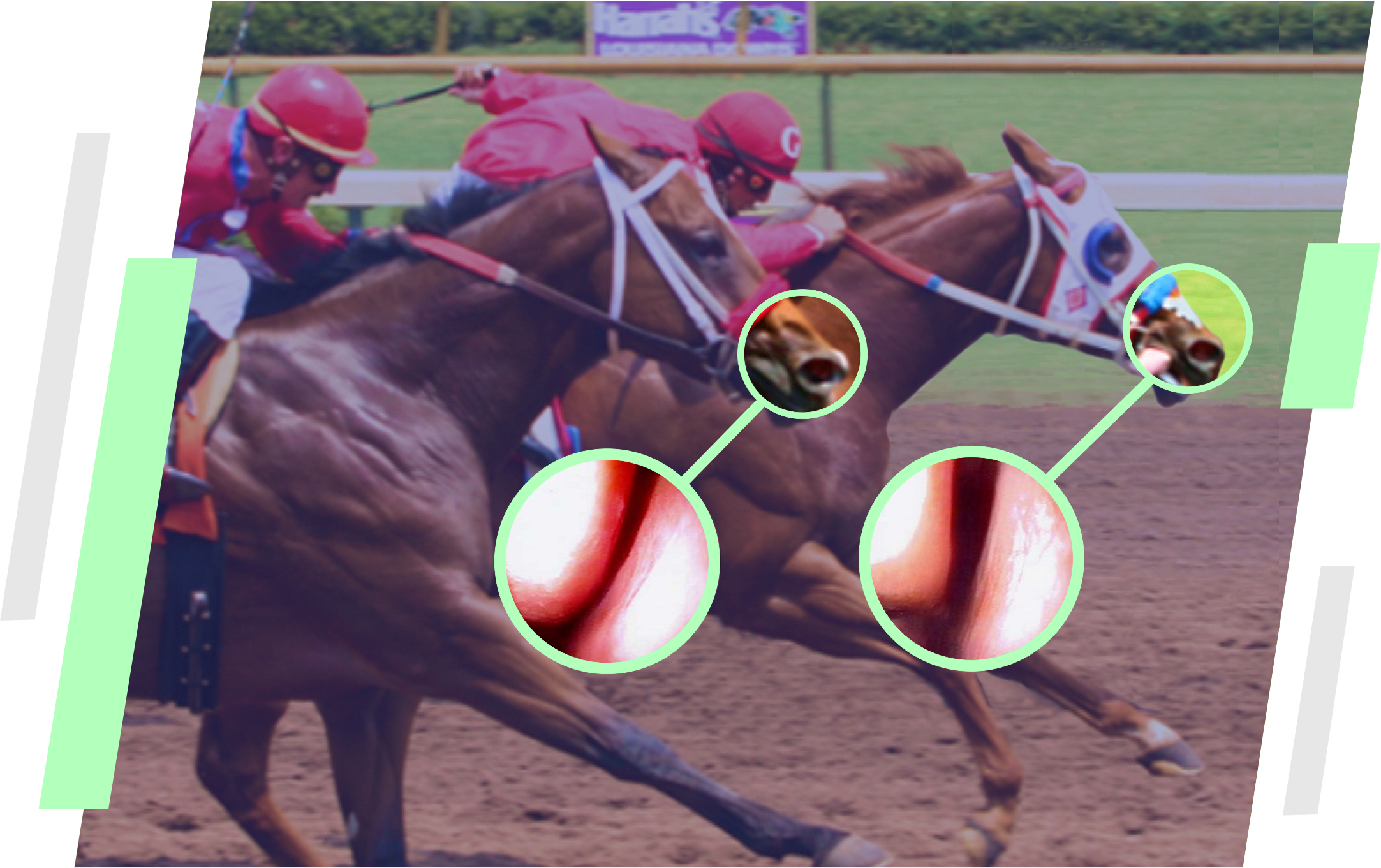 Racing Comparison 2017 Frame Horz - Horze (2165x1361), Png Download