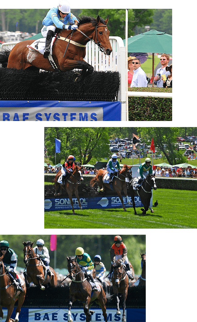 Race And Course Partnerships - Mare (650x1062), Png Download