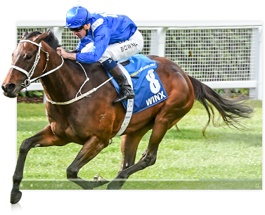 Racing Fans Can Also Watch On-demand Race Replays For - Stallion (424x305), Png Download