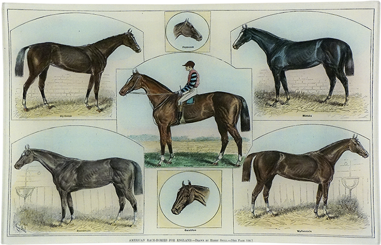 American Race-horses For England - Horse Racing (500x500), Png Download