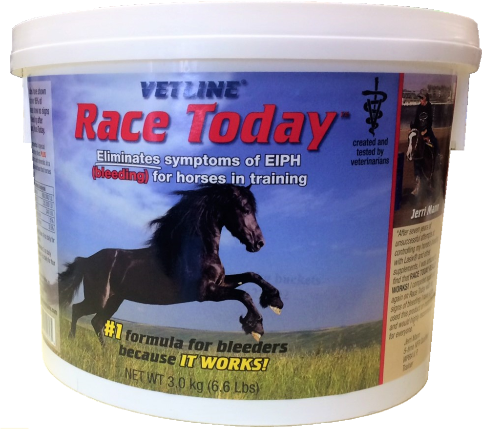 Black Horse Running Throw Blanket (1010x895), Png Download