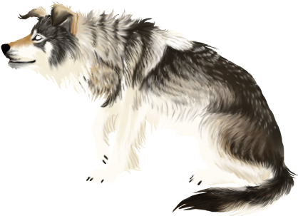 Wolfdye - Mackenzie River Husky (475x538), Png Download