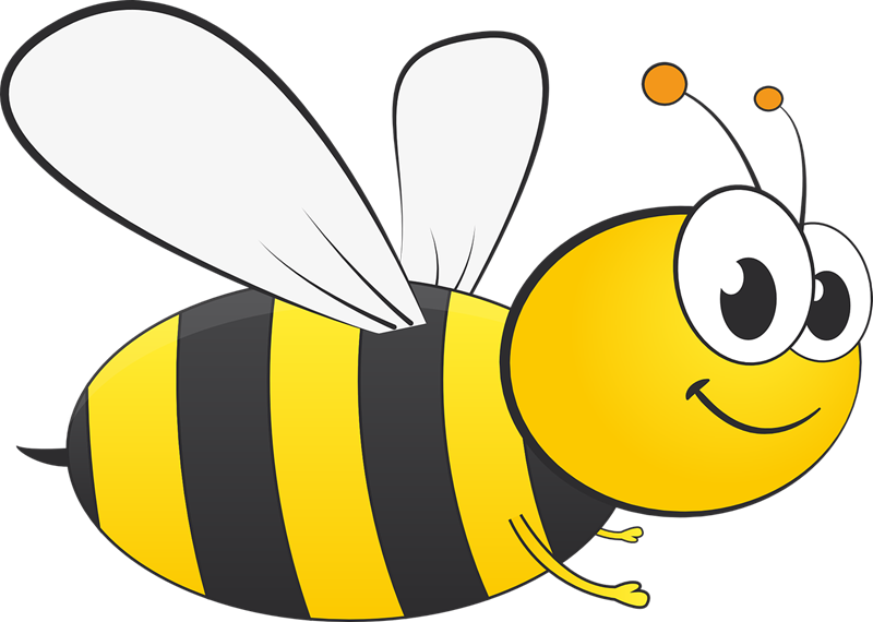 Honey Bee Bee Clipart - Honey Bee Png (800x570), Png Download