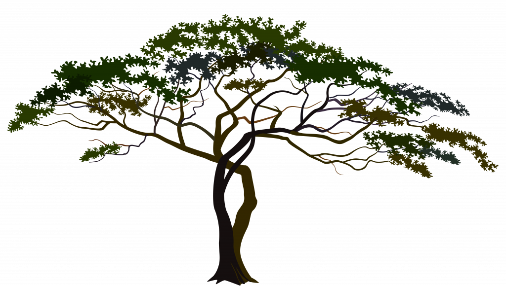 Strange Clipart Images Of Trees Landscaping Tree Savannah - African Forest Silhouette Png (1024x580), Png Download