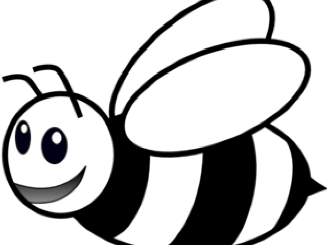 Bees Clipart Outline - Coloring Picture Of Bee (640x480), Png Download