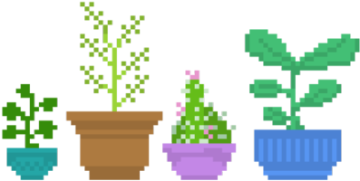 Pixel Cactus - Pixel Plants Transparent (500x252), Png Download
