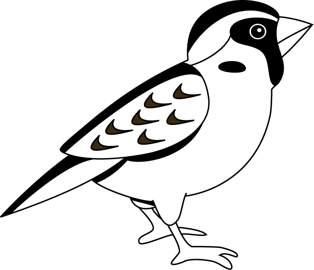 Black And White Sparrow Clipart - Clipart Images Of Sparrow (624x538), Png Download