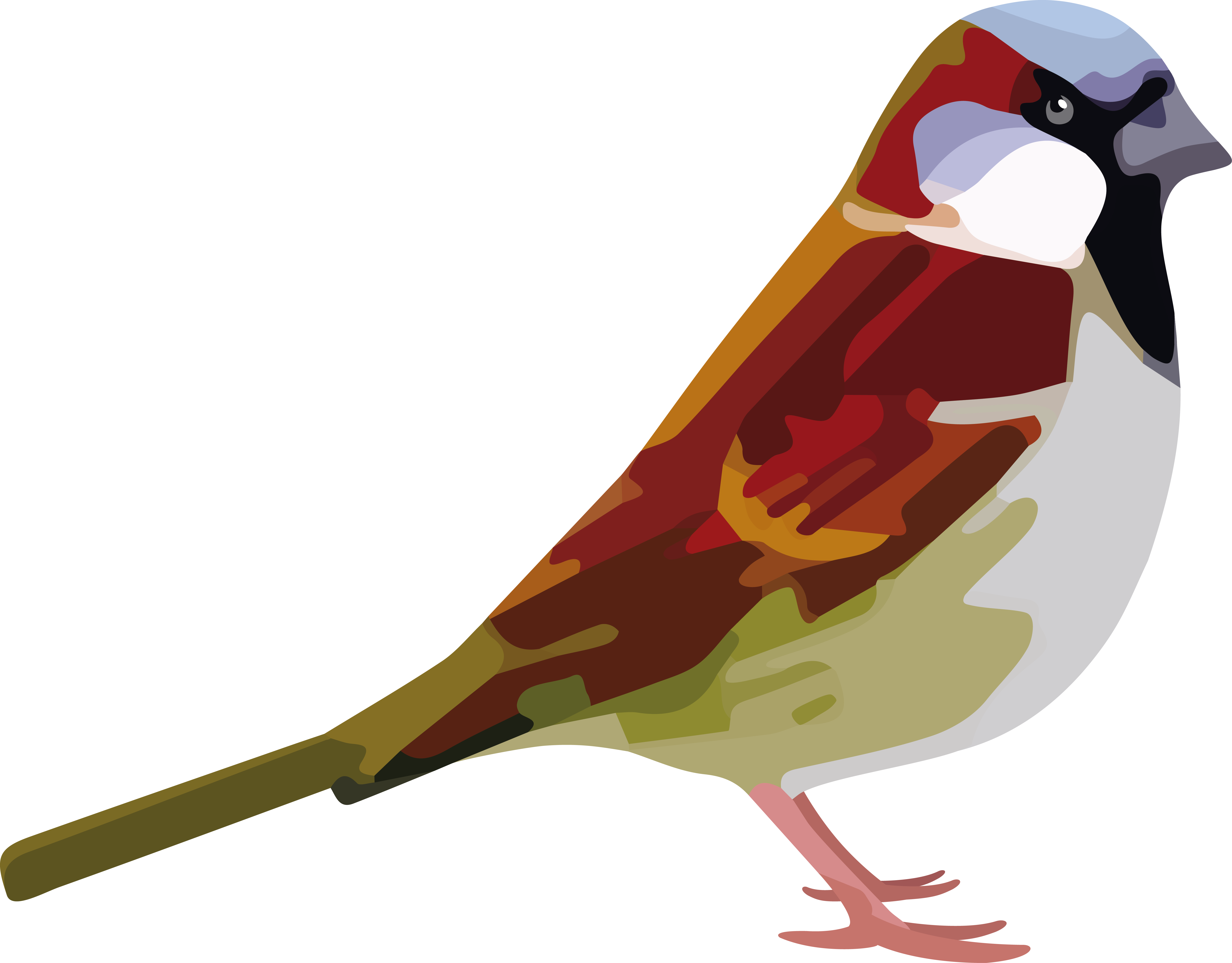 Sparrow Png Photo - House Sparrow (5906x4616), Png Download