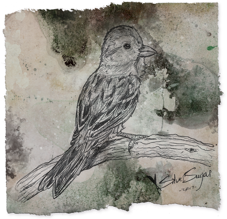 Jpg Royalty Free Stock Amethyst Drawing Pen - Lovebird (775x743), Png Download