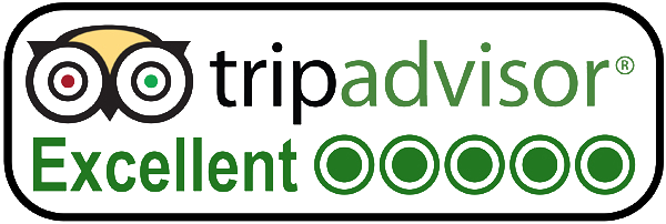 Logo Trip Advisor Excellent - Tripadvisor Review (600x202), Png Download