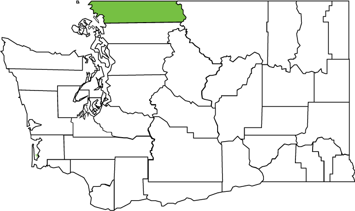 Quick Links - Washington State Transparent Icon (720x540), Png Download