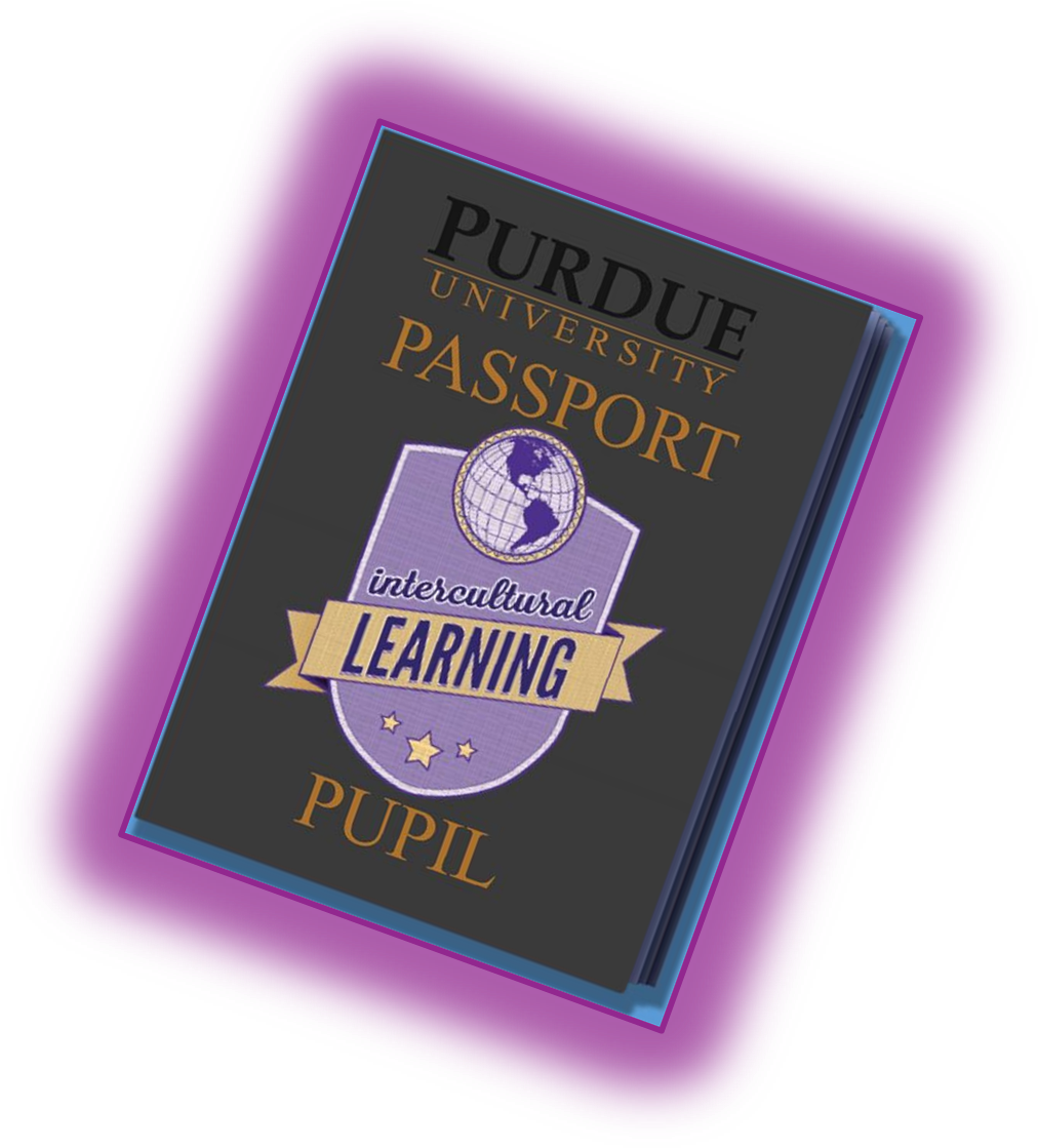 What Is Pupil - Book Cover (1057x1164), Png Download