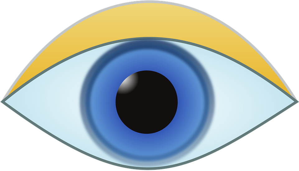 Eye, Iris, Look, Vision, Human, Pupil, Sight, Focus - Visual Perception (960x557), Png Download