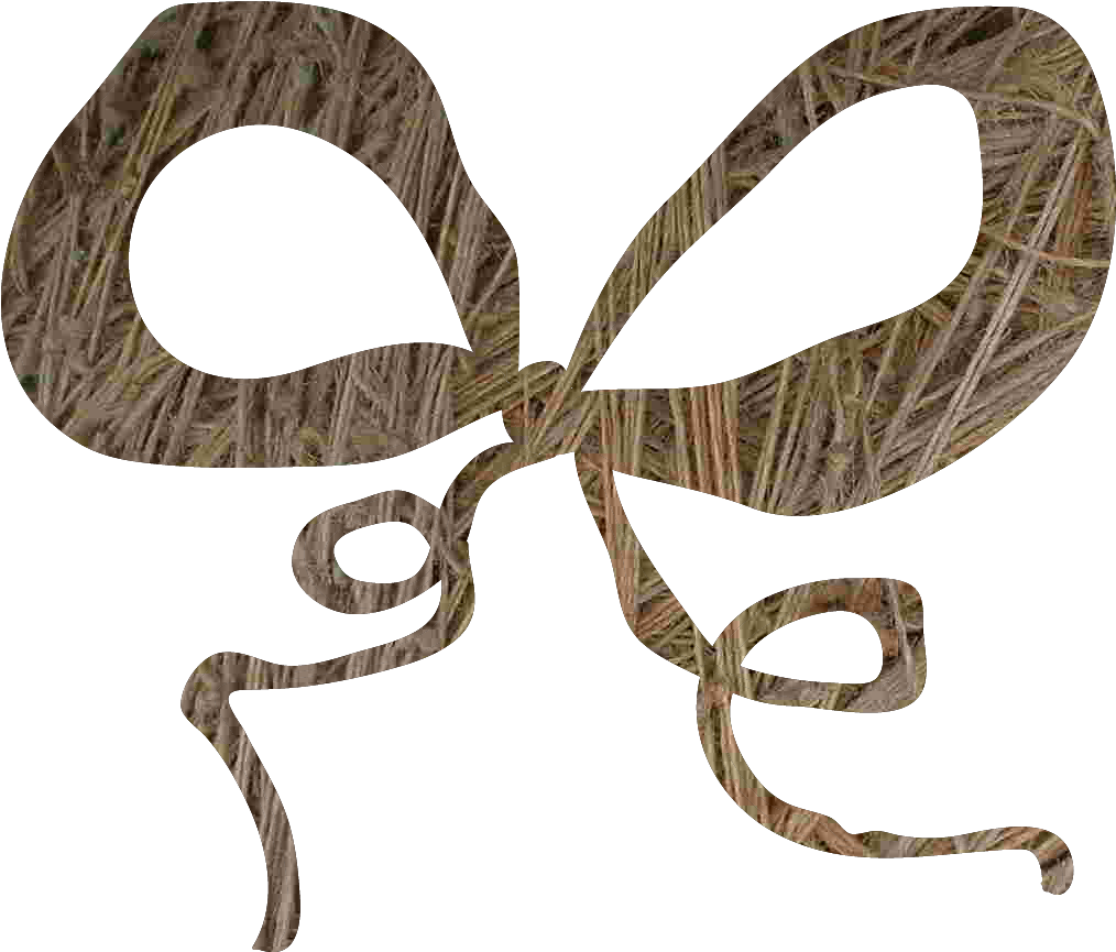 Twine Bow - Insect (1152x1152), Png Download