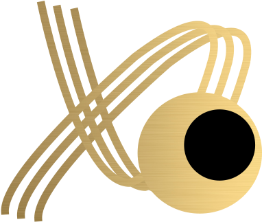 6 Months - Wire (480x480), Png Download