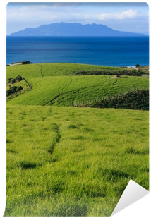Grassy Hills In Tawharanui Regional Park Wall Mural - Light Switch (400x400), Png Download