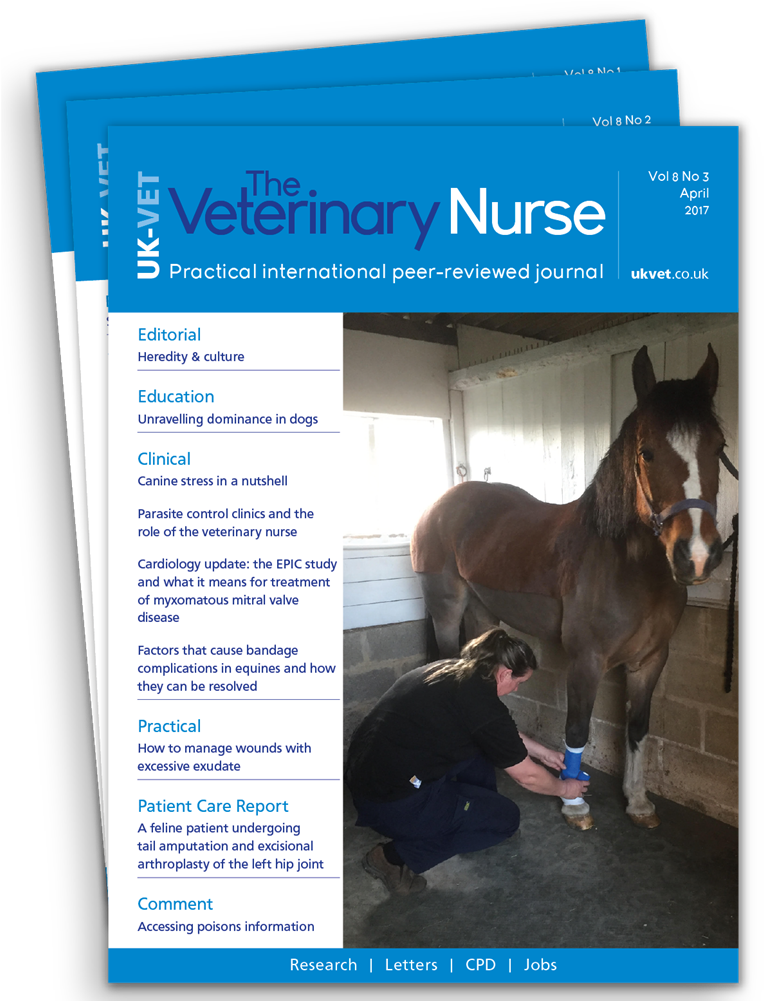Why Subscribe - Paraveterinary Worker (772x1000), Png Download