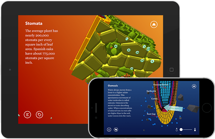 Namoo - Mobile App (800x510), Png Download