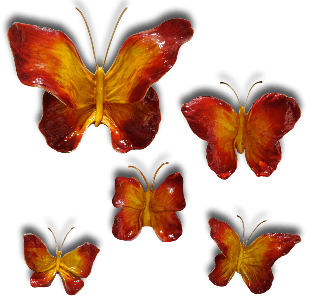 Ron & Sheila Ruiz Flame Butterfly Exposures International - Butterfly (1000x1000), Png Download