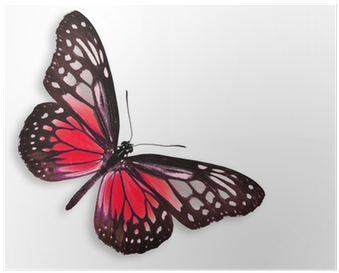 3d Purple Monarch Butterfly Tattoos (400x400), Png Download