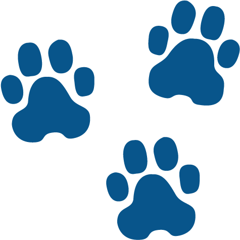 Meet Three Dog - Animal Track Identification Sierra Nevada (500x500), Png Download