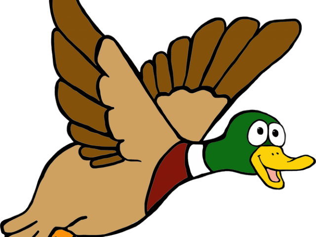 Duckling Clipart Duck Leg - Transparent Duck Clipart (640x480), Png Download