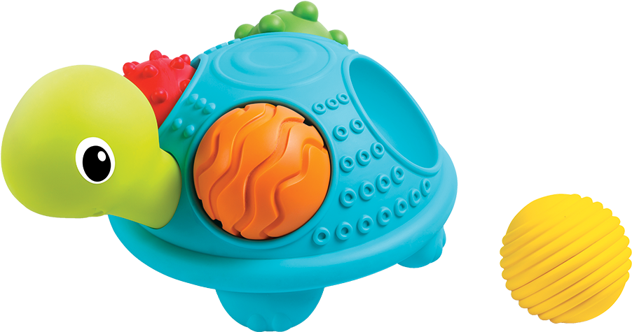 Senso' Turtle - Bkids Senso Turtle (1000x1000), Png Download