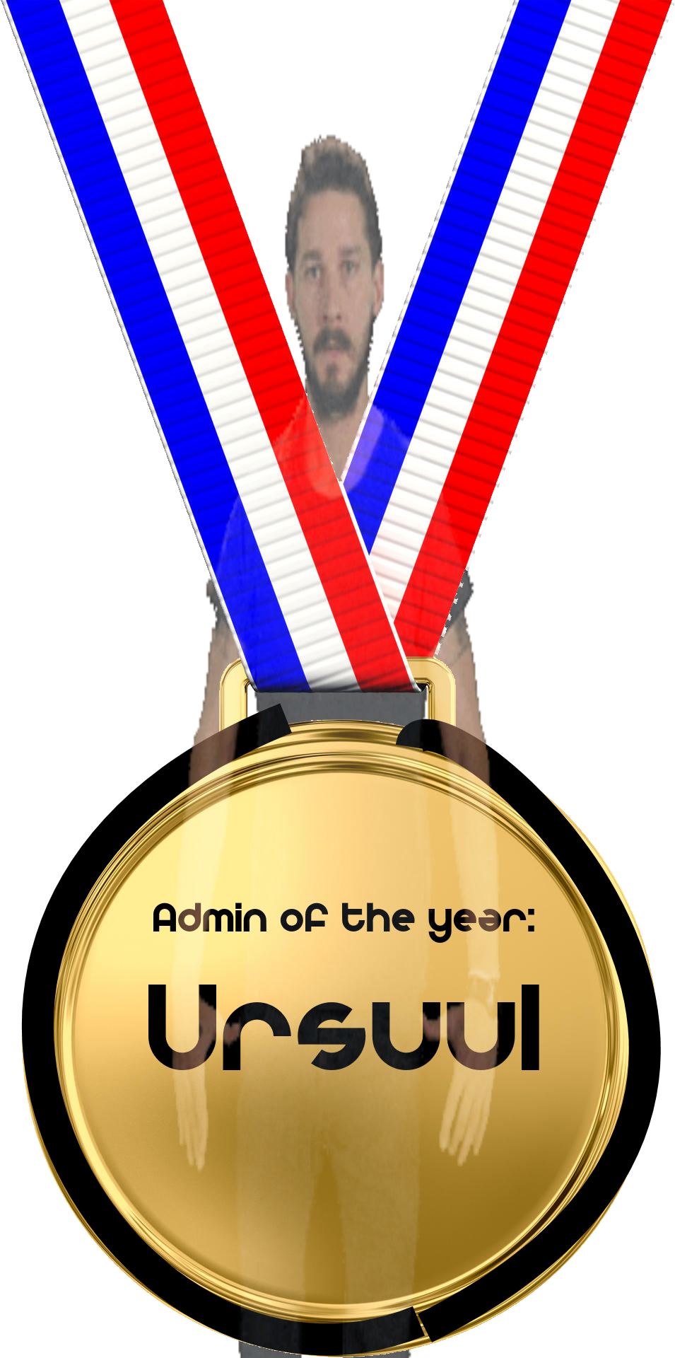 Ursuulshia - Blank Gold Medal (955x1920), Png Download