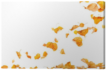 Autumn Leaves Falling To The Ground Canvas Print • - Leaf On The Wind Png (400x400), Png Download