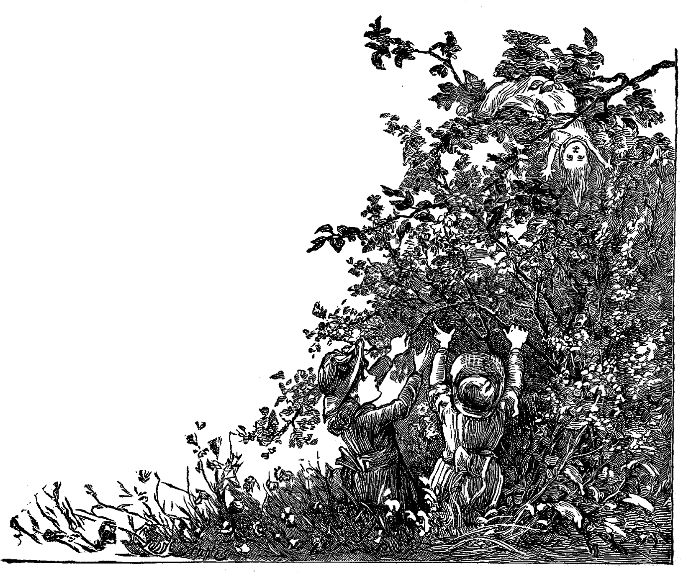 Corner Embellishment Designs - Pretty Corner Designs Transparent (1600x1290), Png Download