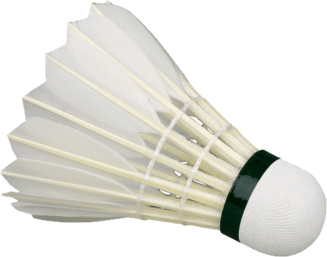 Sports - Badminton - Facilities And Equipment Of Badminton (460x362), Png Download
