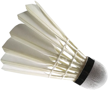 Badminton Shuttlecock Png Transparent Image - Badminton Shuttlecock Png (500x414), Png Download