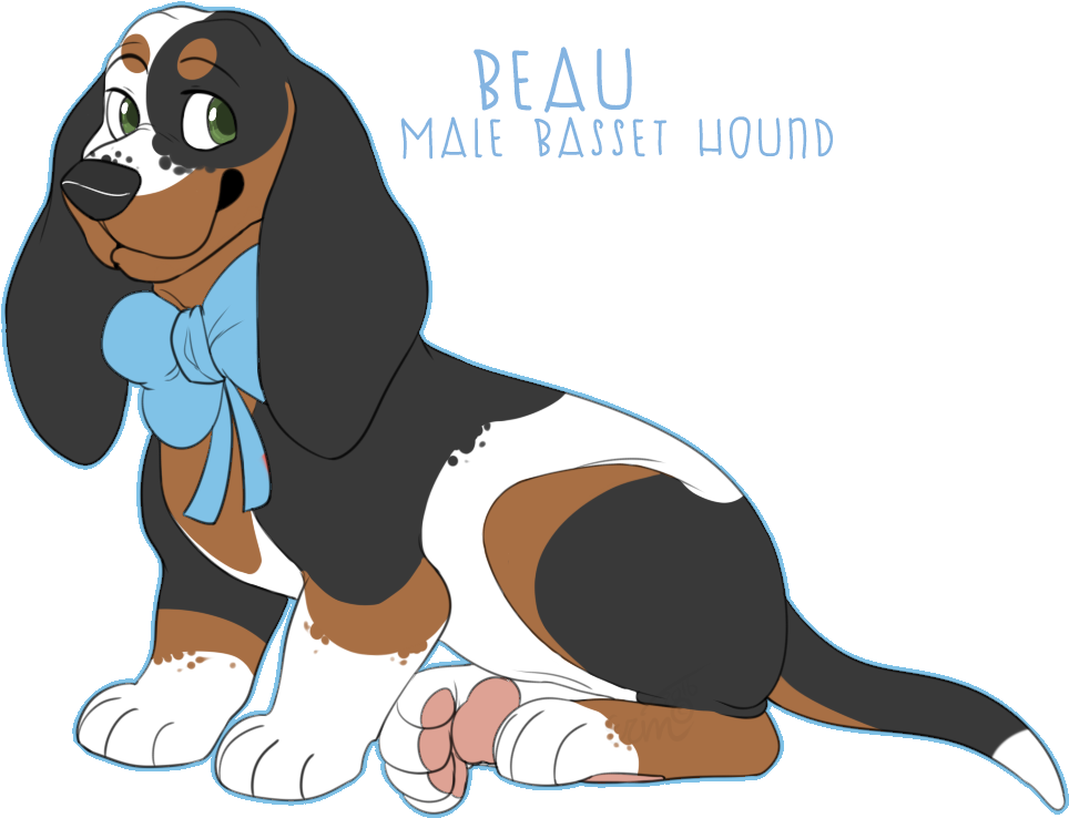 Basset Hound Ofa - Basset Hound (1050x853), Png Download