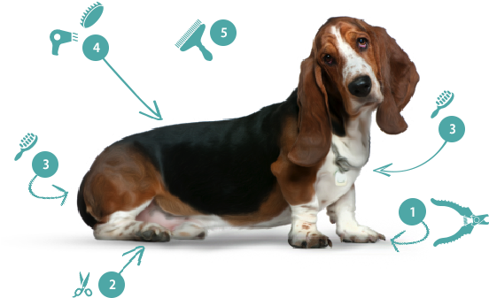 Trim Nails And Grind As Short As Possible - Techno-aide Veterinary Caliper Qcal-21 (563x448), Png Download