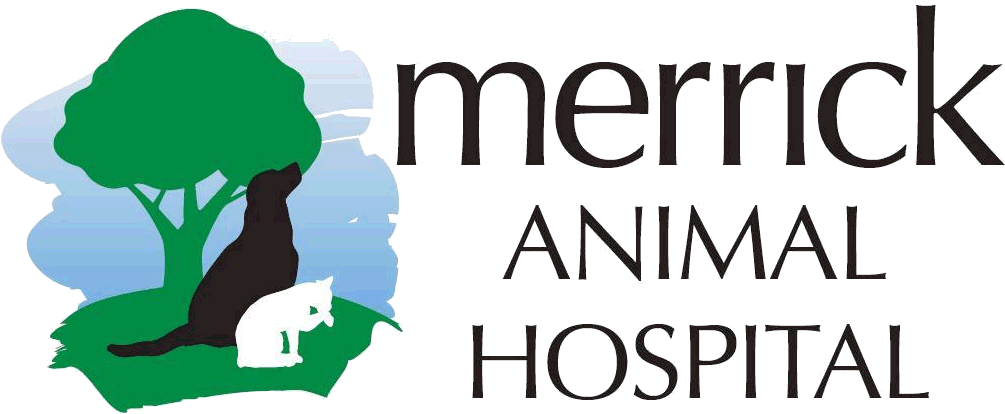 Merrick Animal Hospital - Petenwell Lake (1030x434), Png Download