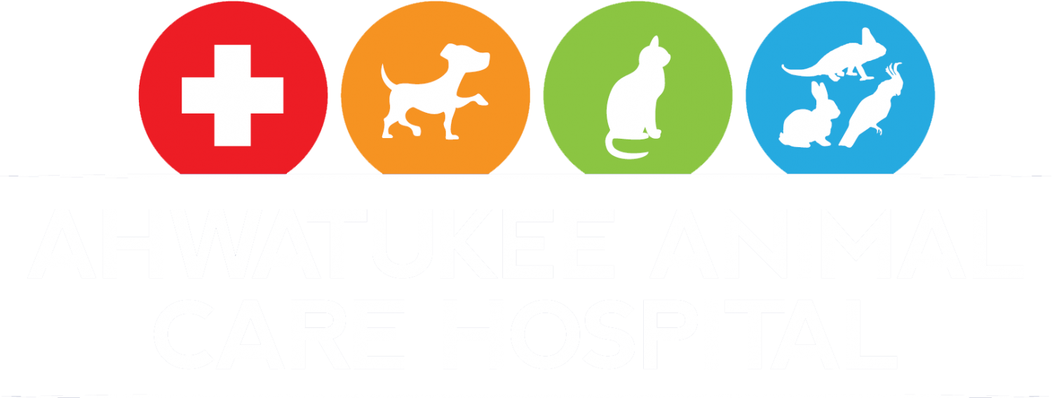 Pet Care Logo Png (1500x568), Png Download