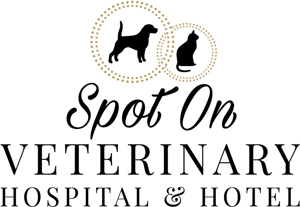 Spon On Logo Png Cropped - See Spot Run Round Ornament (1000x706), Png Download