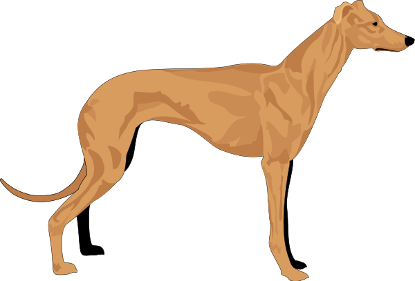 Grey Hound Clipart Png - Hound Clipart (600x407), Png Download