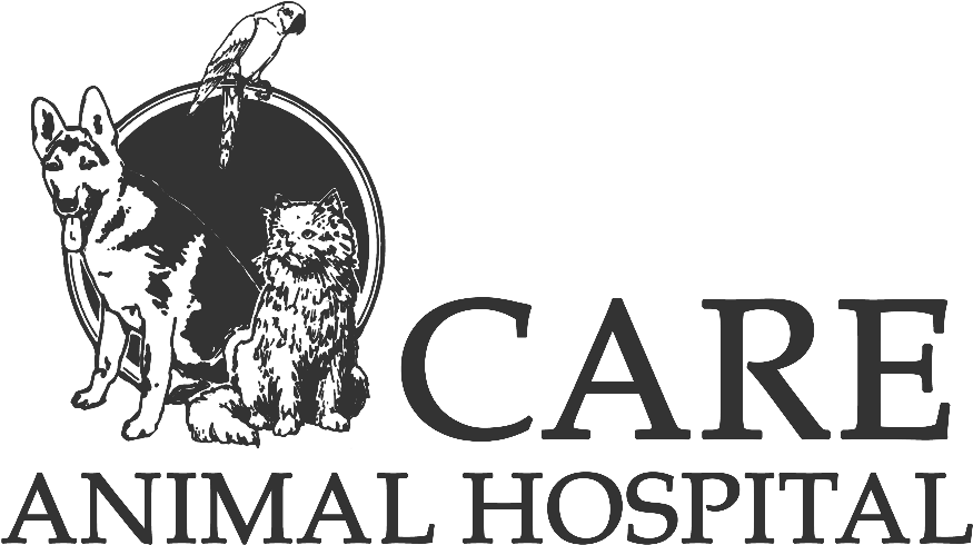 Care Animal Hospital (960x564), Png Download