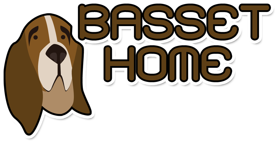 Basset Home - Bassett Furniture (1000x500), Png Download