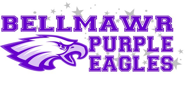 Divisions - Bellmawr Purple Eagles Football (640x308), Png Download