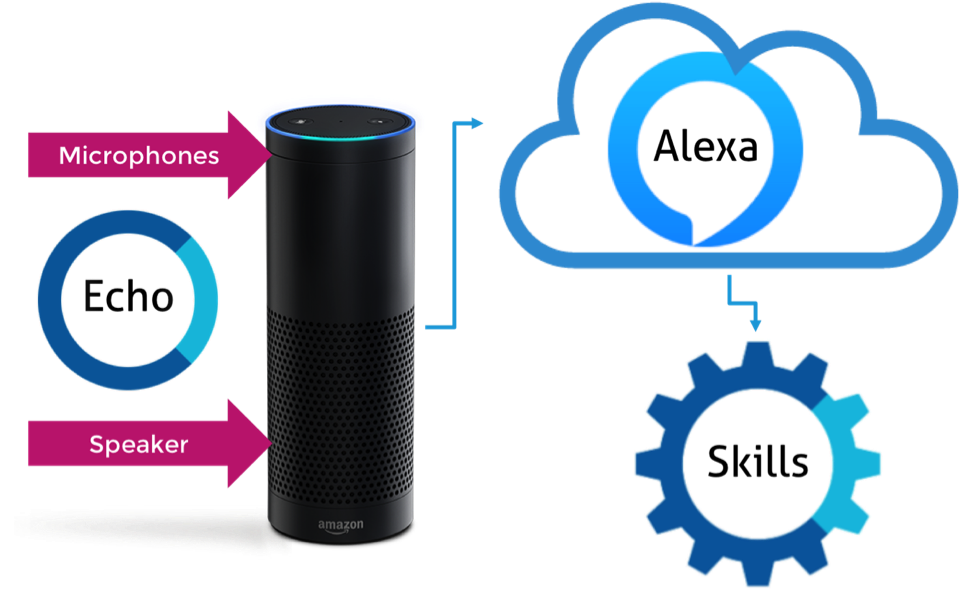 For Example, The Amazon Echo Pictured Here Contains - Alexa Components (975x626), Png Download