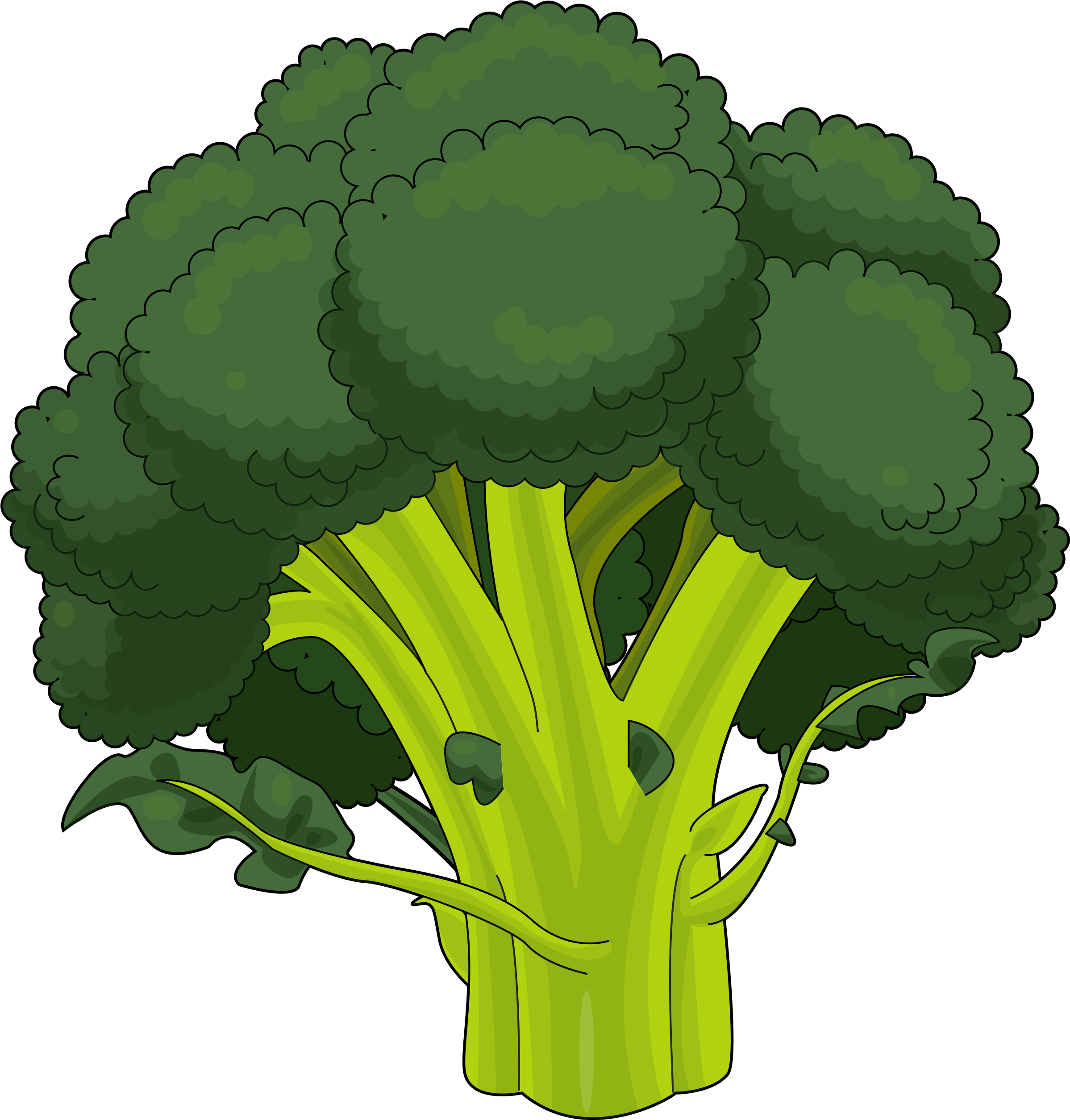 Brocoli Dibujo Png - Brocoli Y Coliflor Dibujo (2480x3508), Png Download