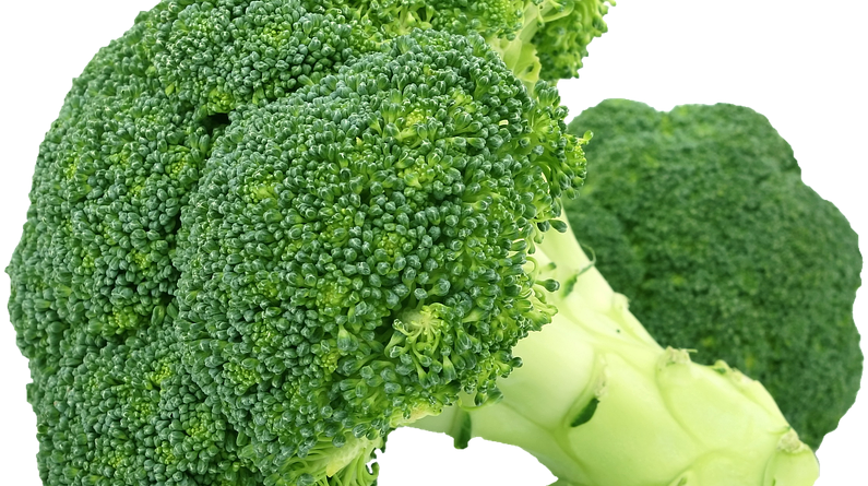Brocoli-795x445 - Exotic Vegetables In India (795x445), Png Download