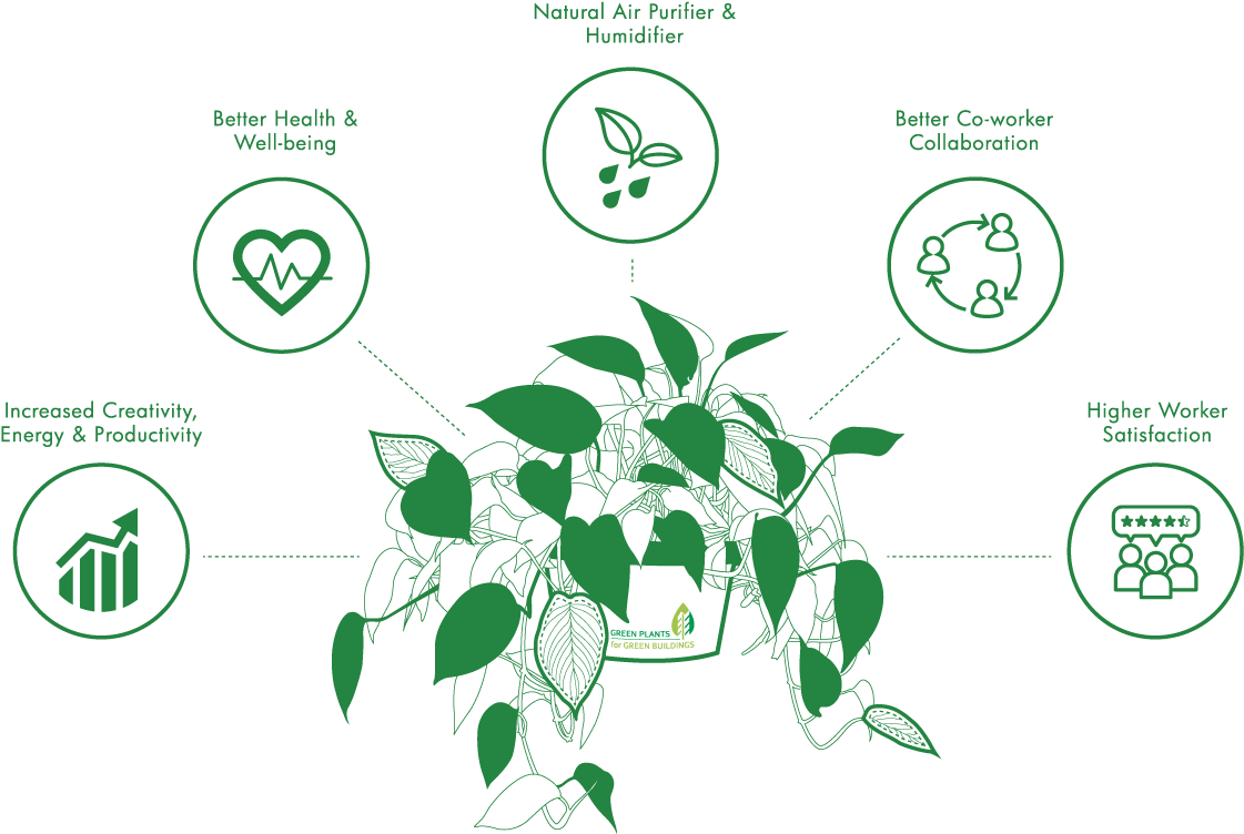 Find - Circle (1366x768), Png Download