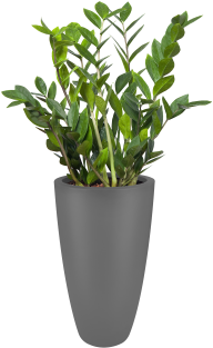 Gallery Image One - Modern Desk Plants Png (400x400), Png Download