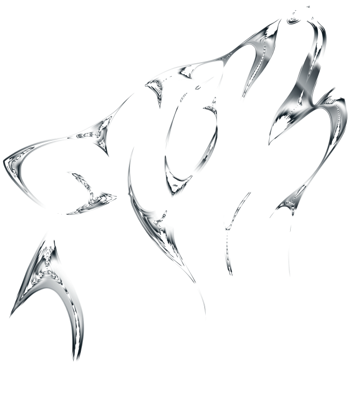 Medium Image - Wolf Spirit No Background (682x782), Png Download