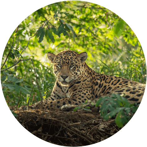 Original Size Is 500 × 498 Pixels - Photography (500x498), Png Download