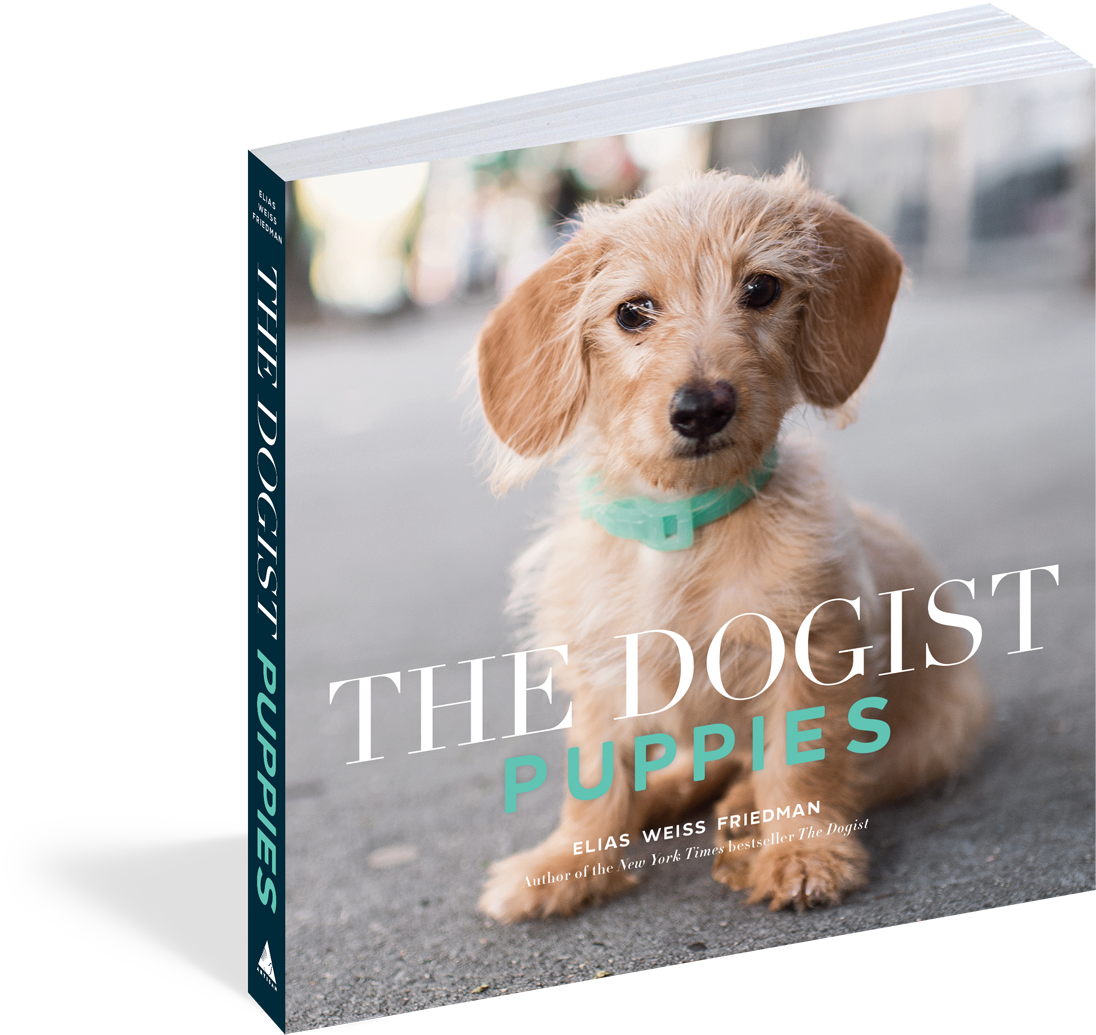 Cover - The Dogist Puppies (1500x1500), Png Download